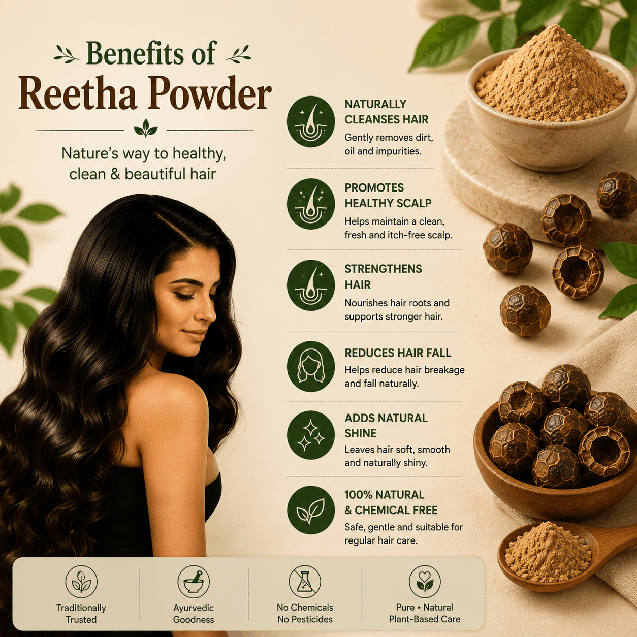 Reetha Powder