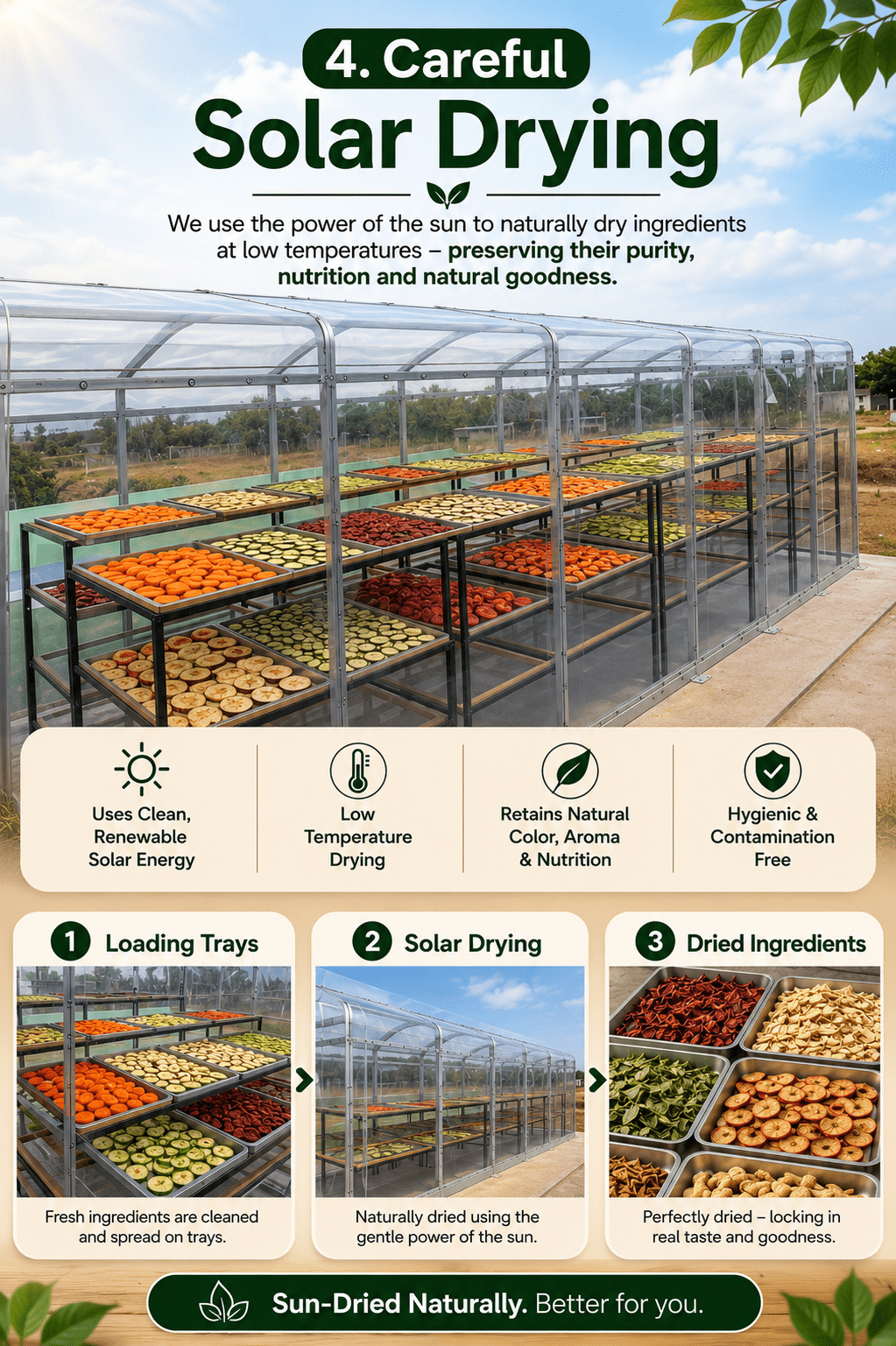 dehydrated vegetables